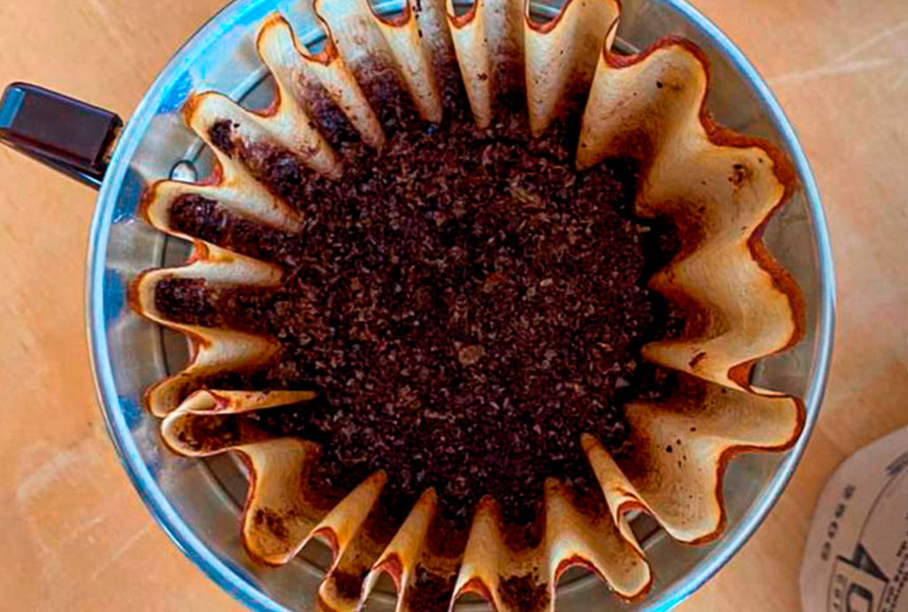 BORRA DEL CAFE OZ COFFEE