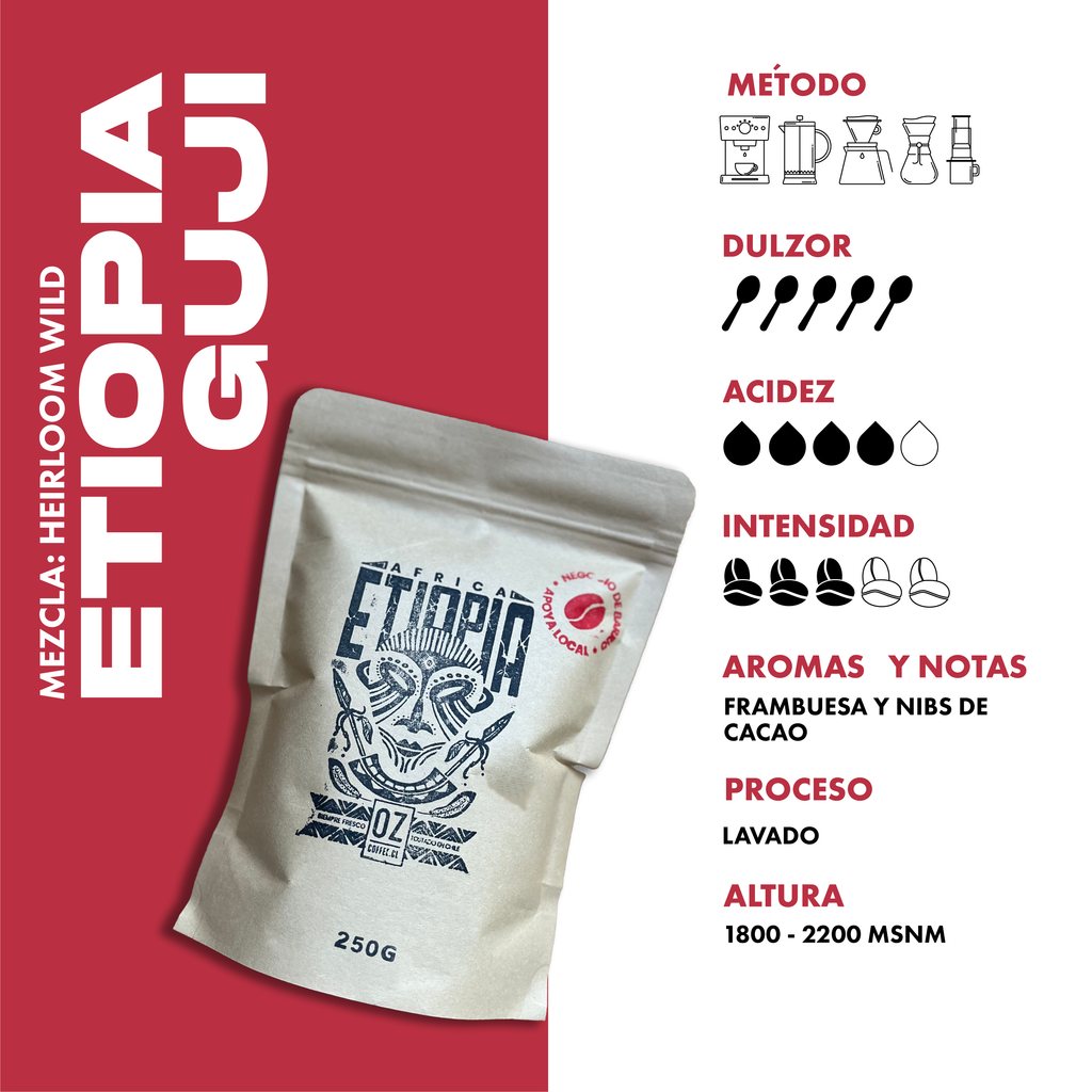 Etiopía Sidama OZ Coffee